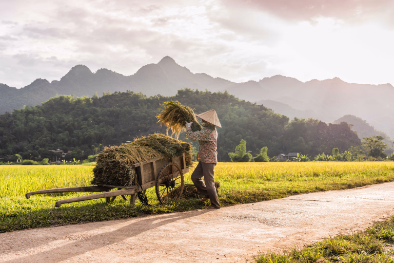 Découvrez le Vietnam en vélo de loisir avec nos séjours en Asie