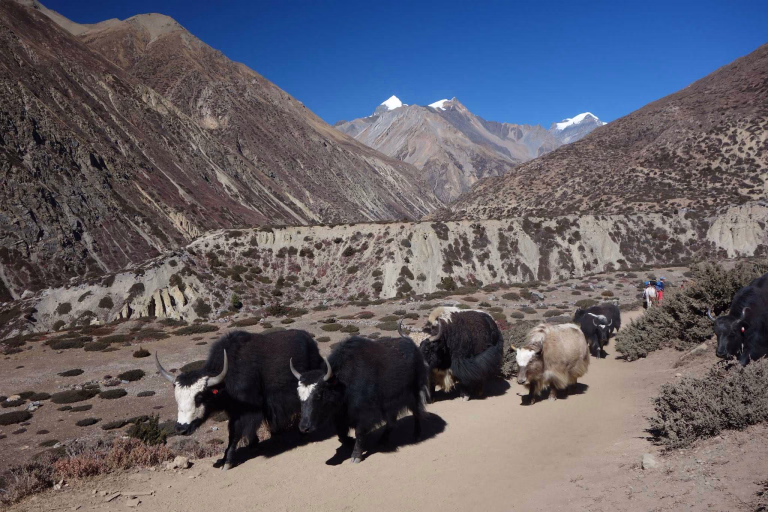 Tour_Annapurnas