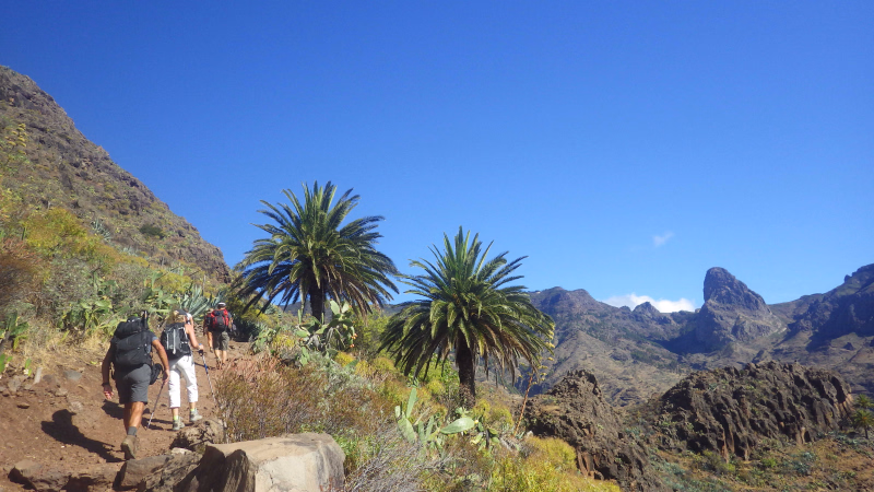 Canaries, Lanzarote, Tenerife, La Gomera, La Palma
