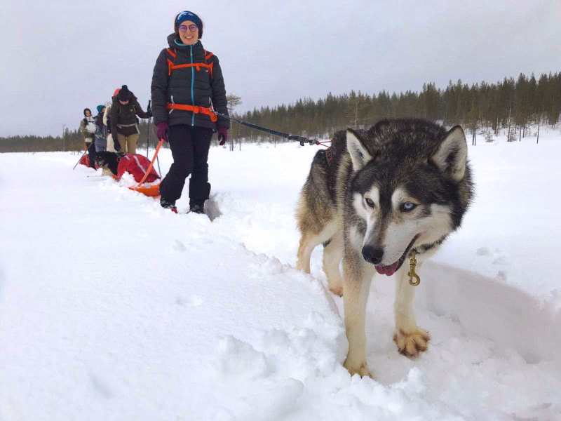 Cani-rando en raquettes avec nos huskies