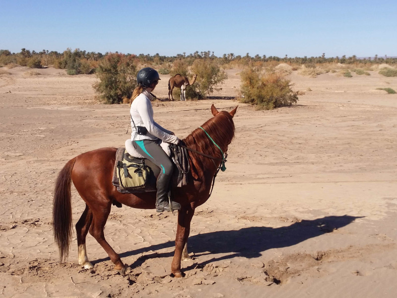 Cavalière dans le désert, Maroc