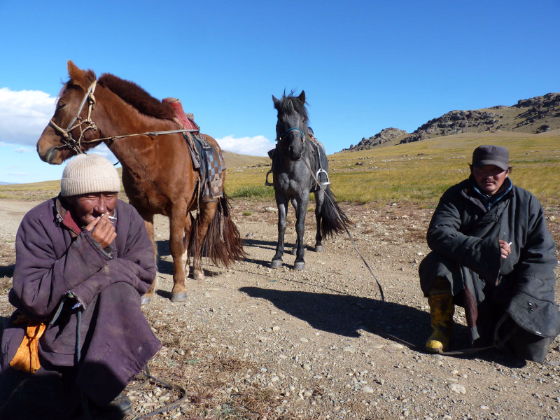 homme mongole avec leurs chevaux en Mongolie