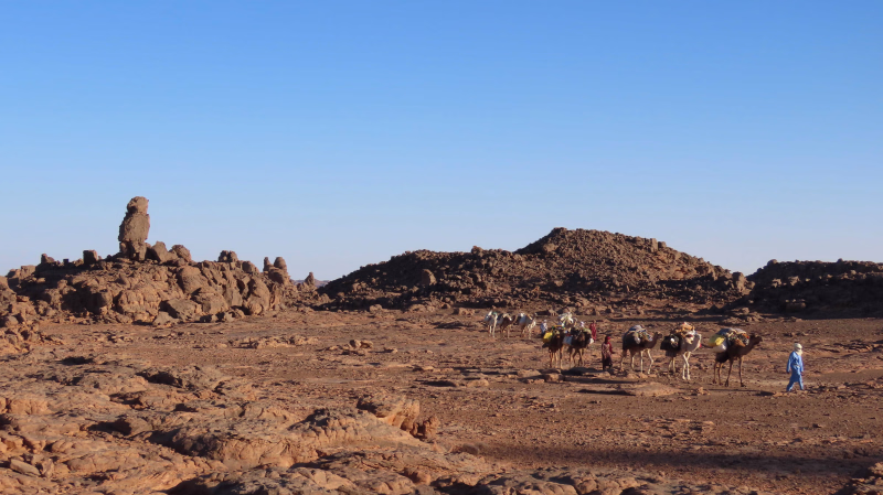 J3 parc national tassili