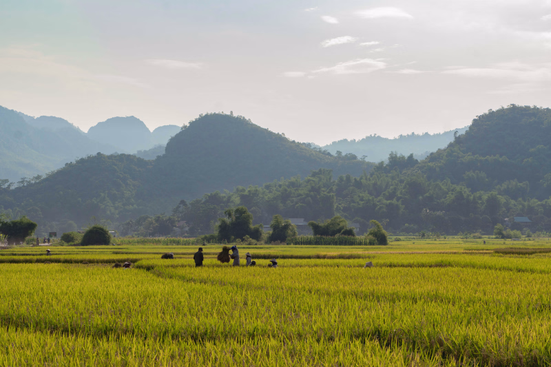 Les paysages de la région de Mai Chau