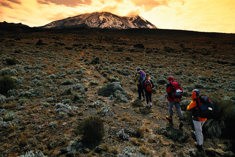 Marche d'approche vers les sommets du Kilimandjaro Tanzanie