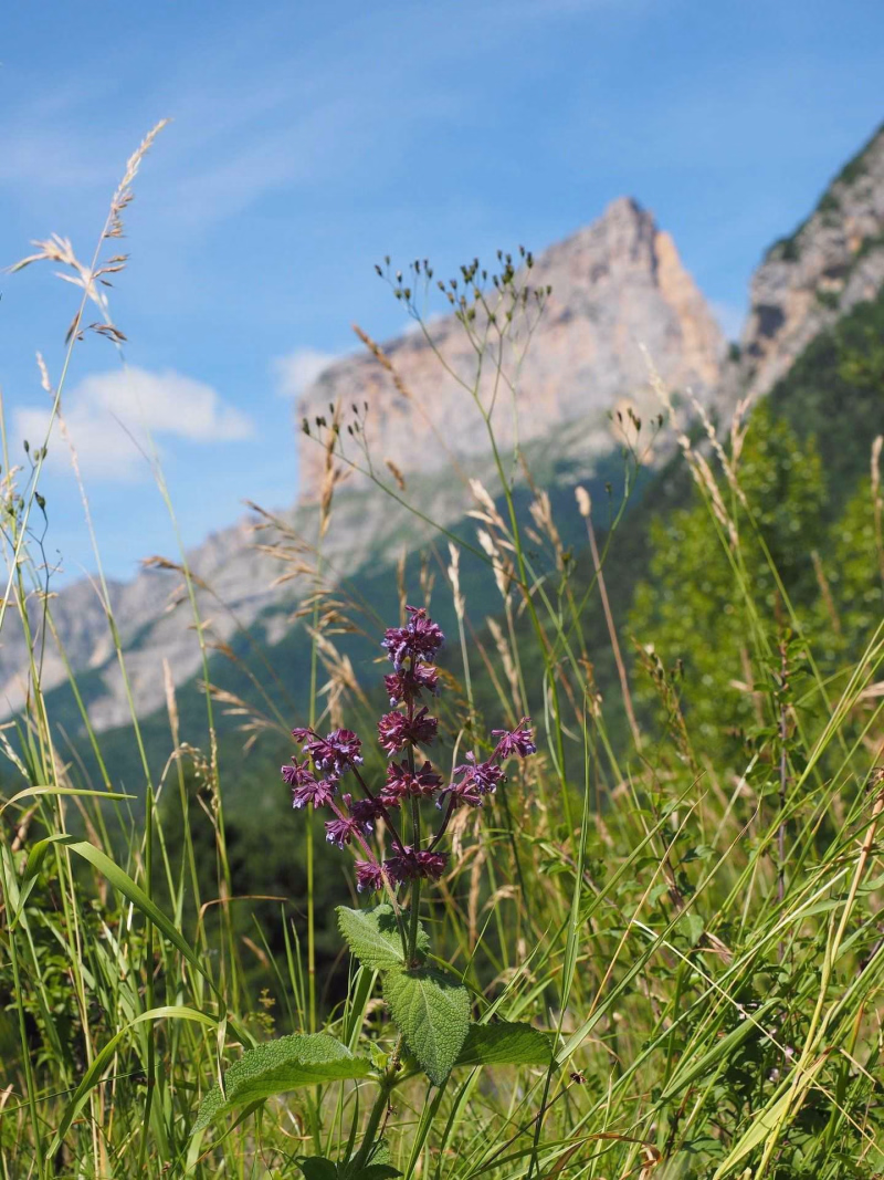 Mont Aiguille lors d'une randonnée dans le massif du Vercors