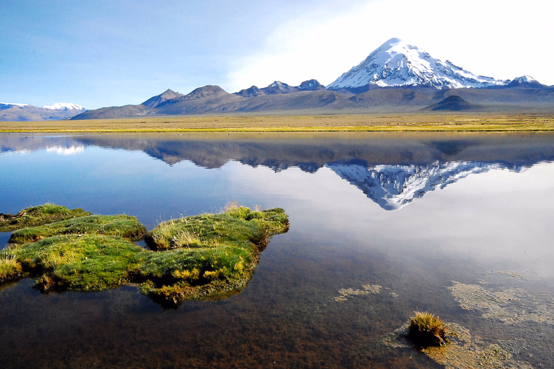 Parc National de Sajama, Oruro, Bolivie