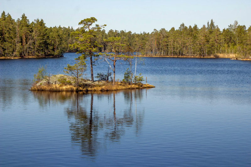 Paysage de la Suède du Sud près de Stockholm