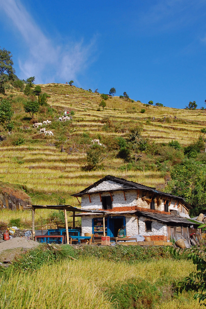Paysages des Annapurnas