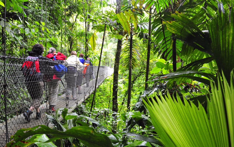 Photo d'un pont suspendu au Costa Rica