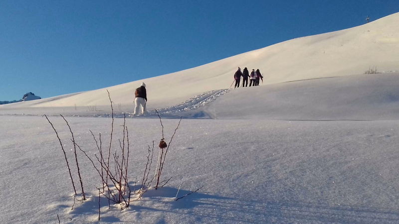 Randonnée bien-être en Auvergne