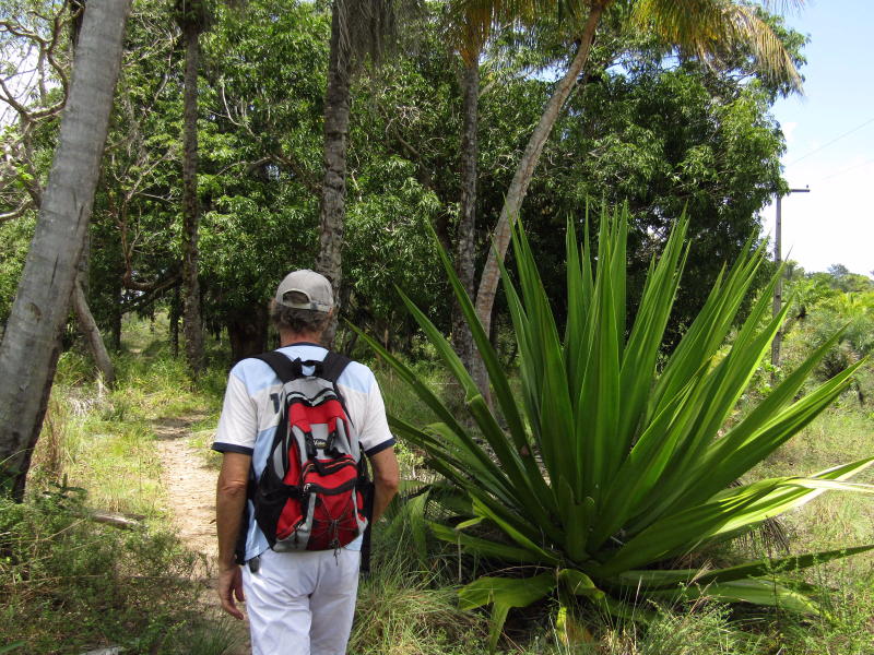 Randonnée sur l'île de Boipeba dans la nature luxuriante