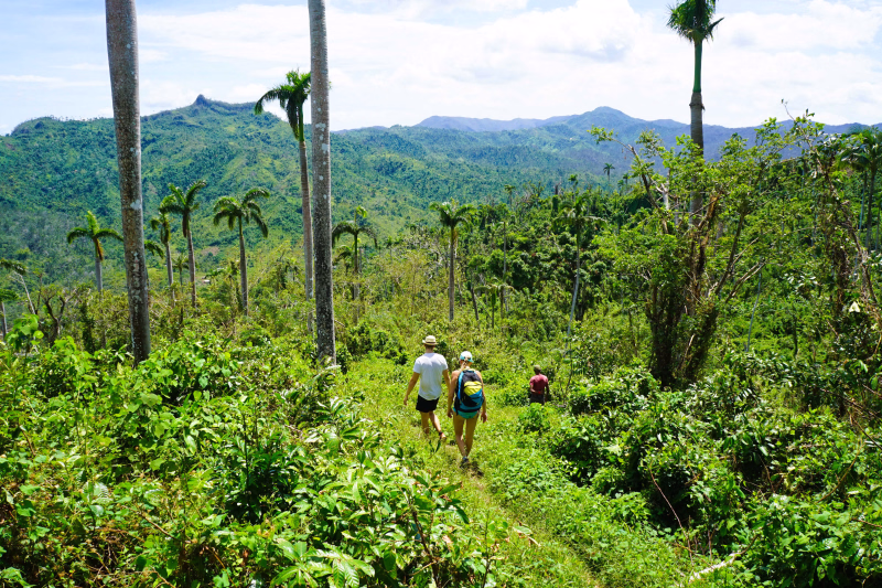 Randonnée tropicale à Cuba