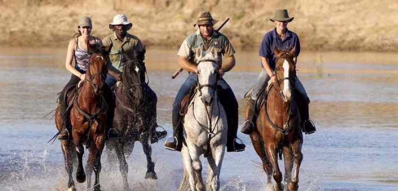 Safari_afrique-du-sud_bostwana