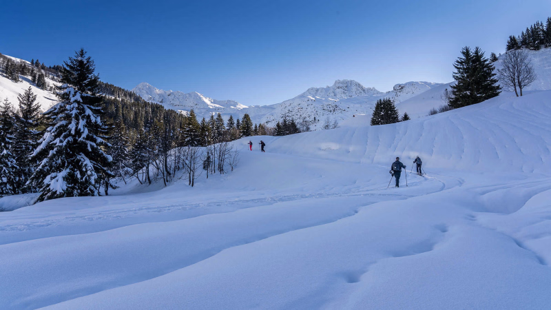 Skieurs de randonnée à la montée
