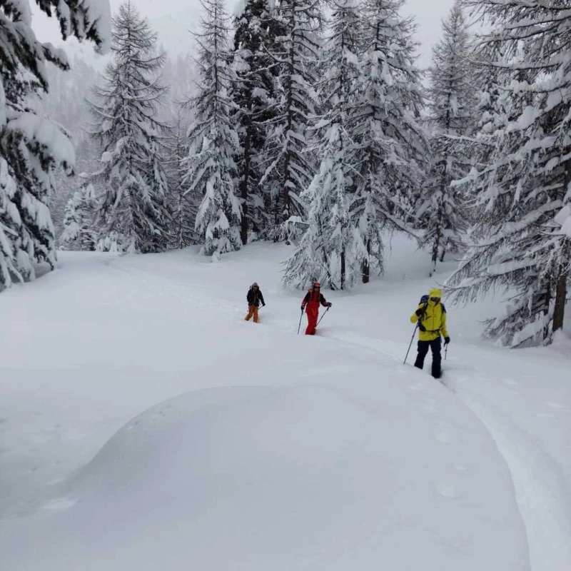 Skieurs de randonnée en forêt
