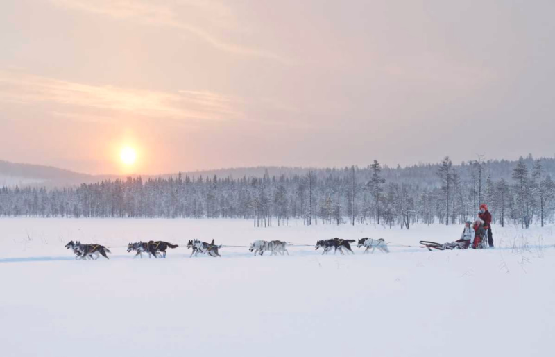 Traversée d'un lac gelé en traîneau à chiens en Laponie Suédoise