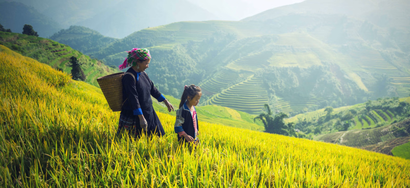 Une femme et une fille dans les rizières de Ha Giang au Vietnam