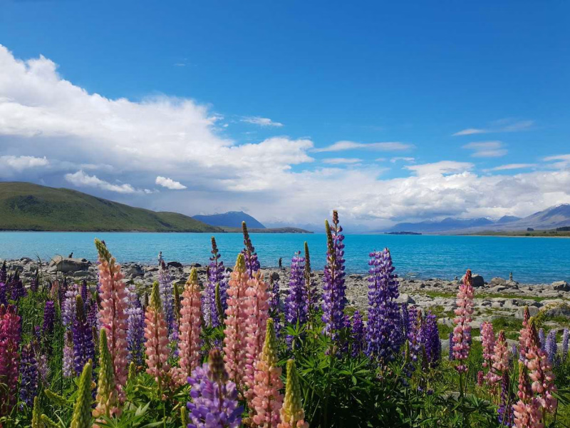 Vue que le lac Tekapo