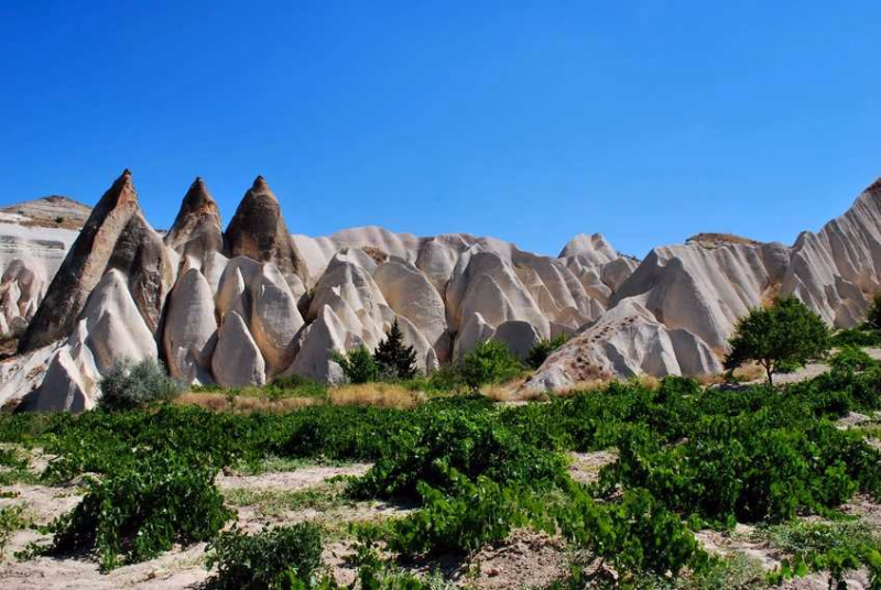 Vue sur les cheminées de fées en Cappadoce en Turquie