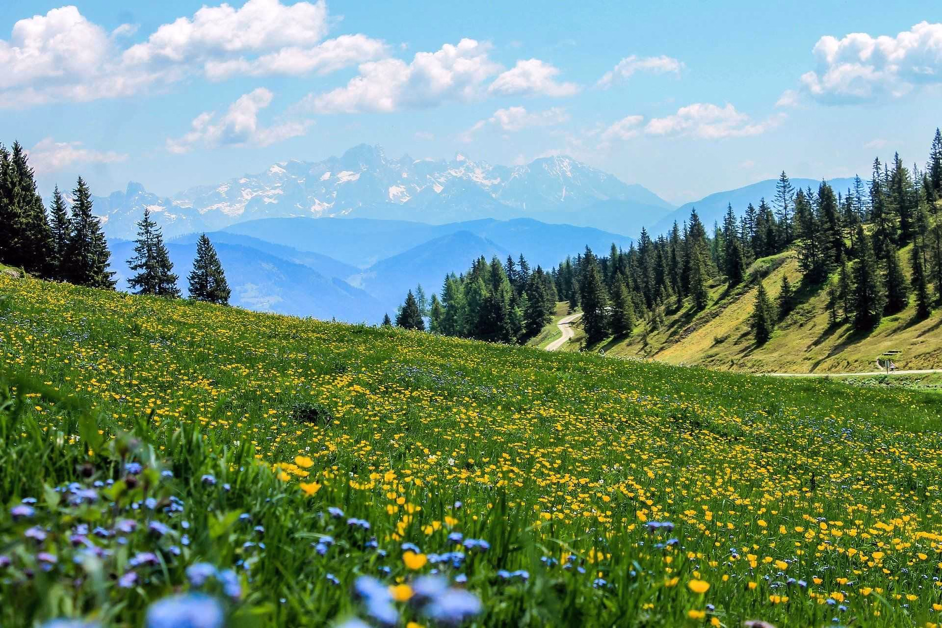 Queyras : Les forêts et montagnes à couper le souffle © Queyras : Les forêts et montagnes à couper le souffle