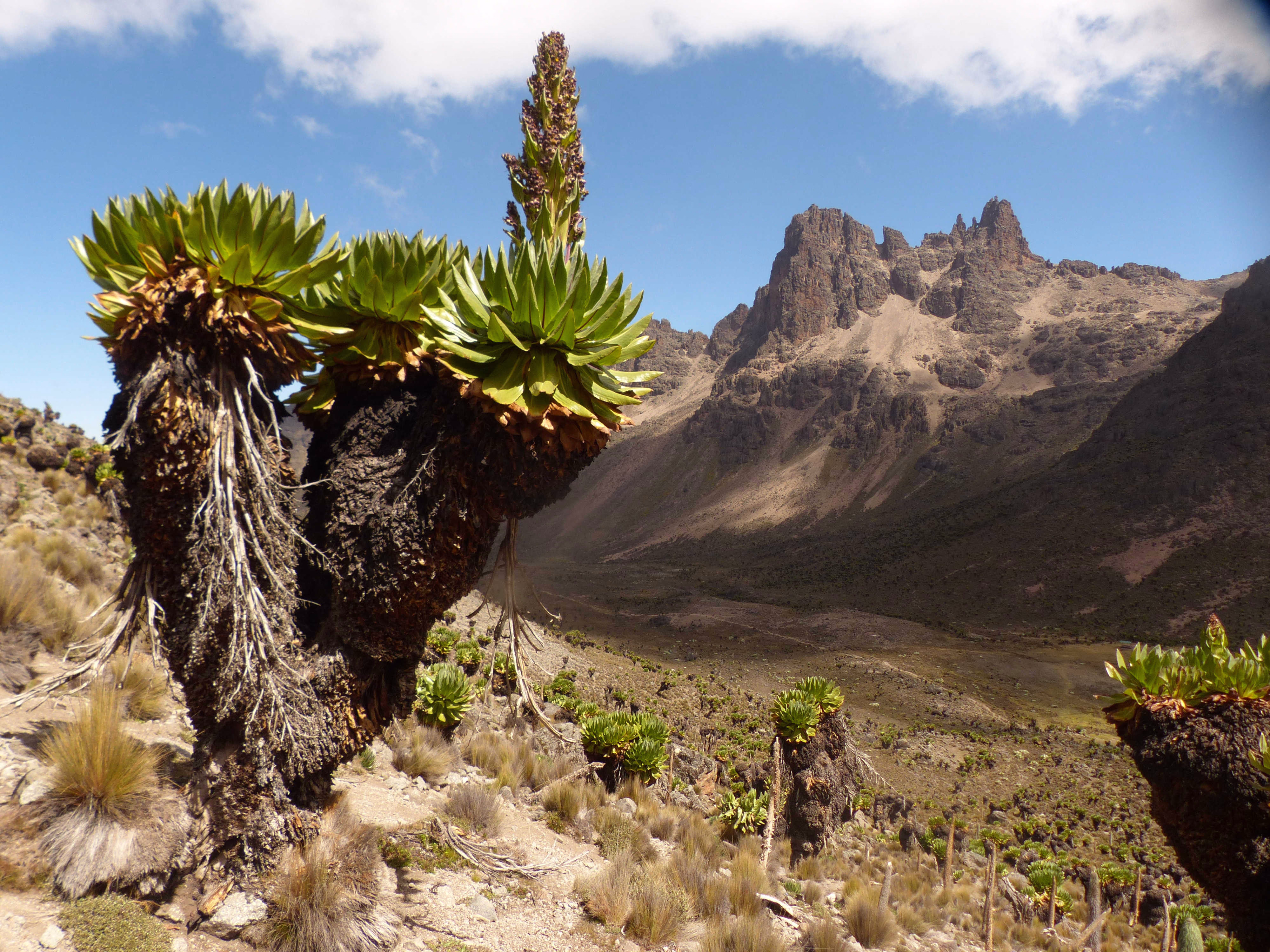 Trekking au Kenya pour vos séjours