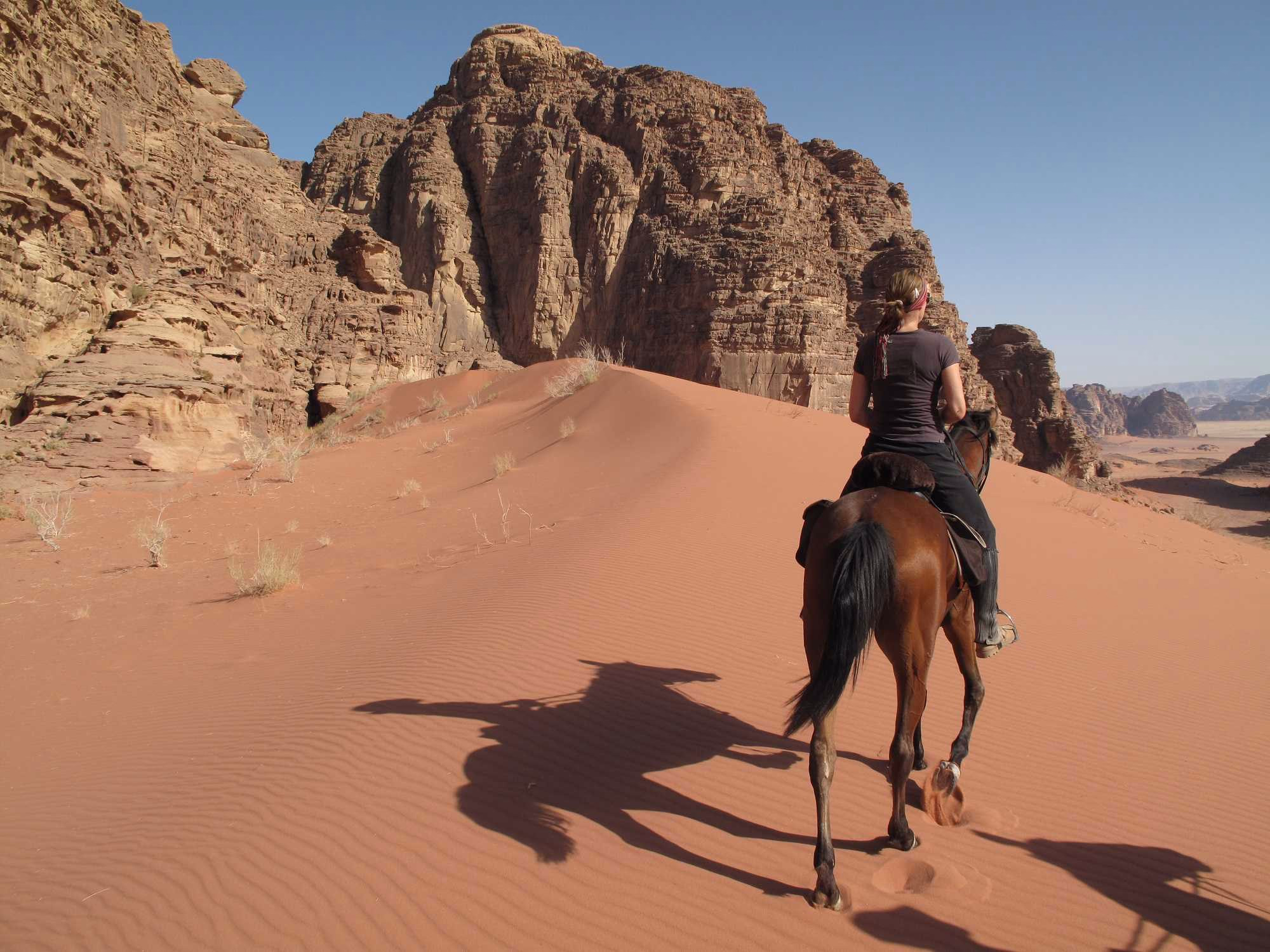Retrouvez tous nos séjours de randonnée équestre en Jordanie