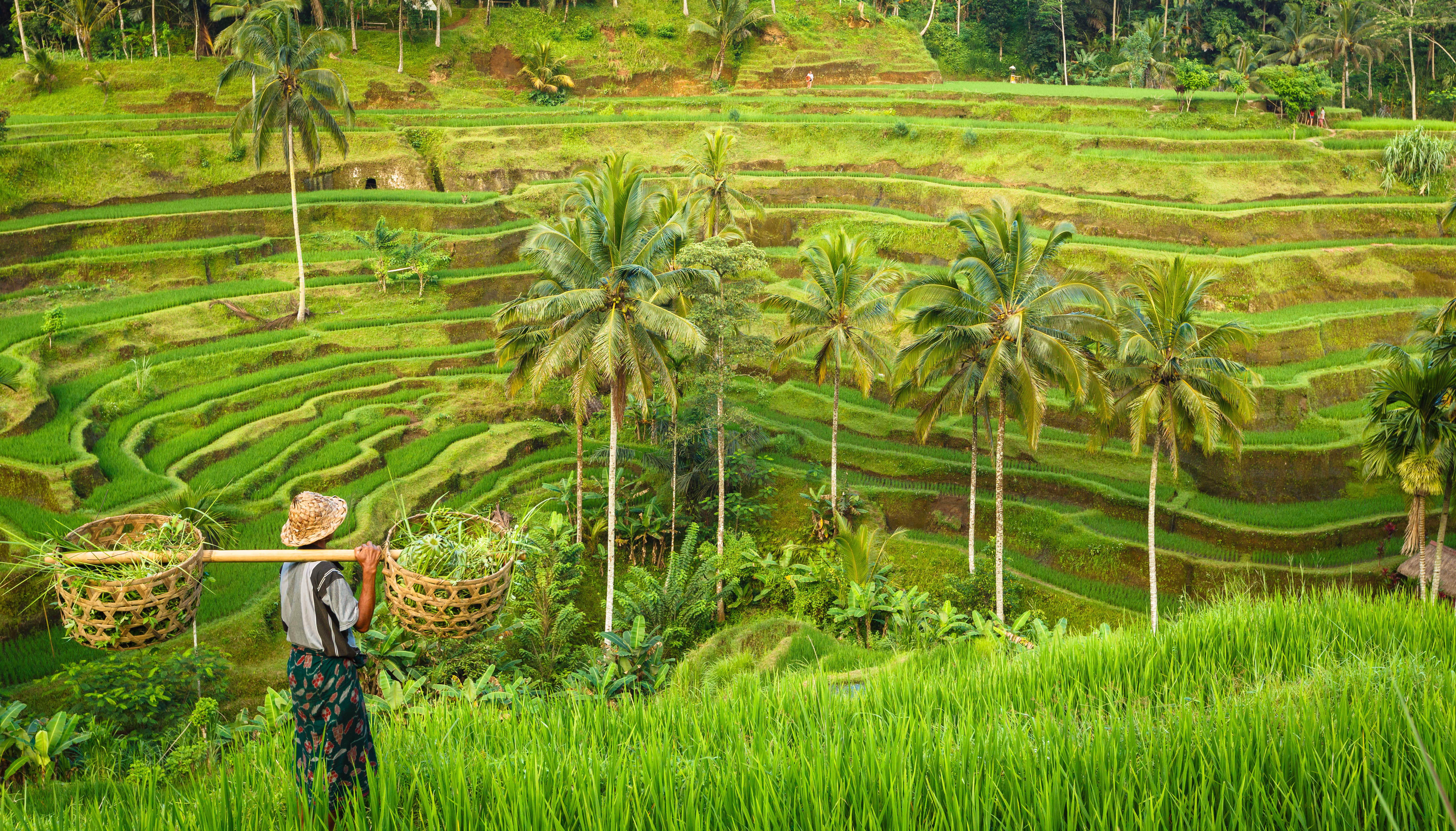 Découvrez nos voyages sportifs à Bali pour vos prochaines vacances