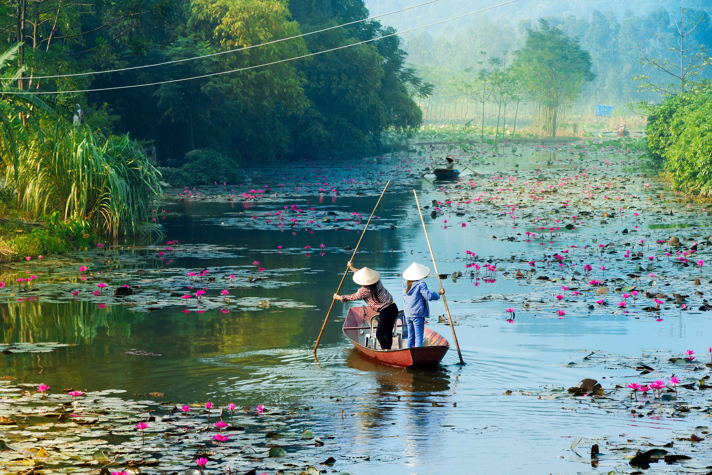 Le Vietnam du Nord au Sud : © Le Vietnam du Nord au Sud :