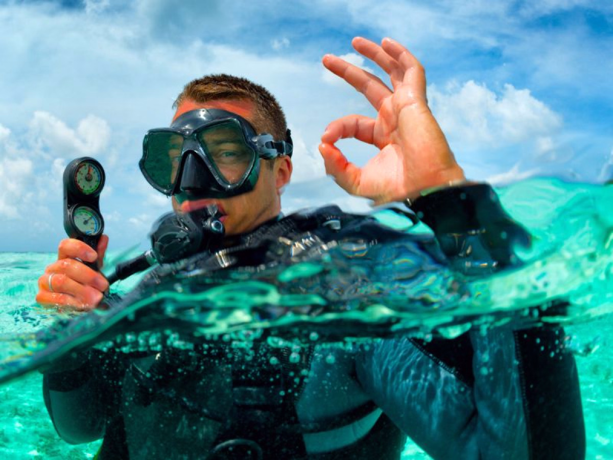 Plongée et découverte des fonds marins en Guadeloupe