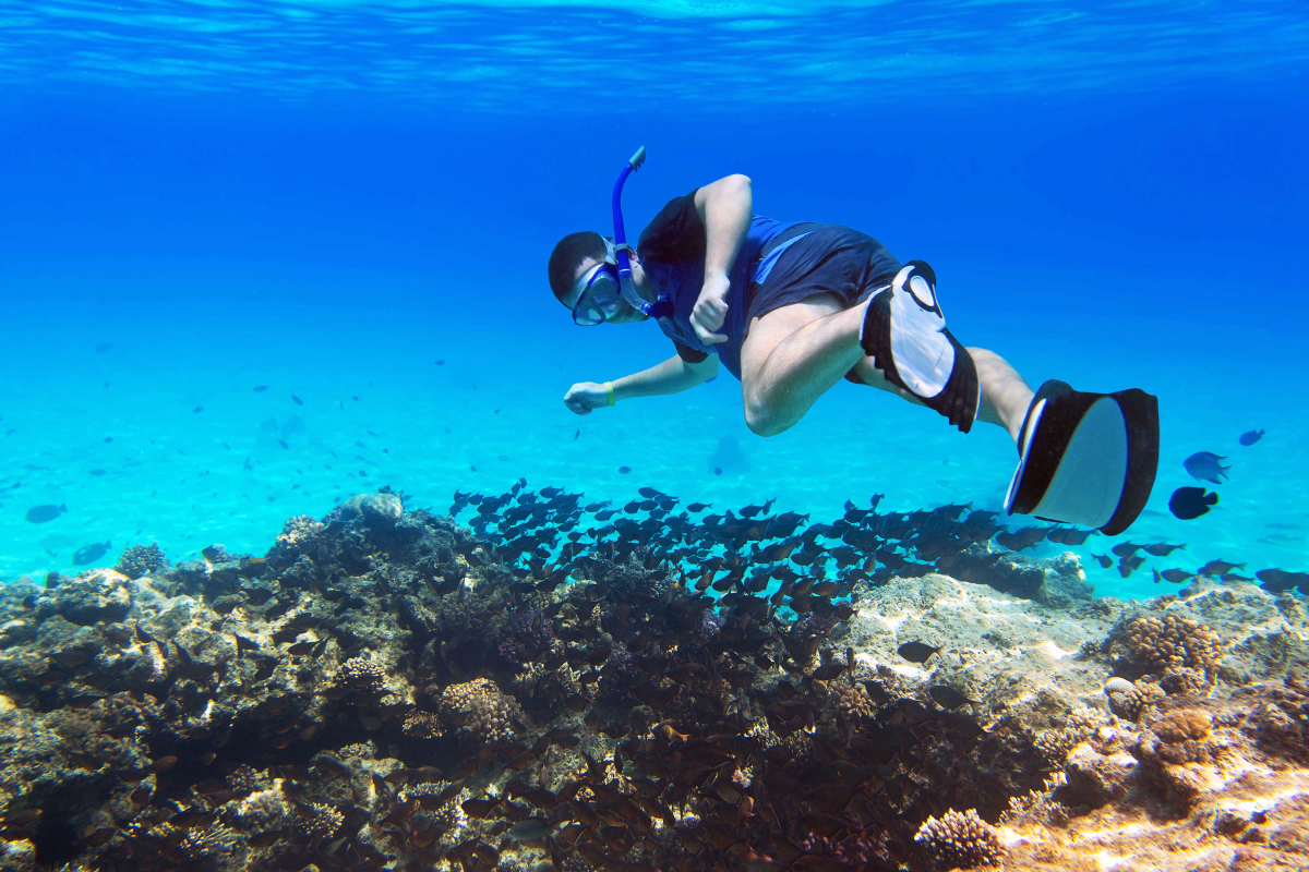 Snorkeling accessible à tous à Safaga en mer Rouge