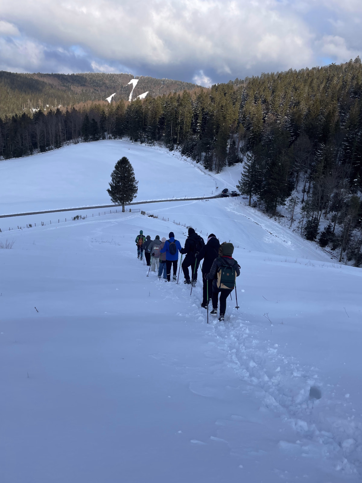 Aventure en raquettes sur les crêtes Vosgiennes