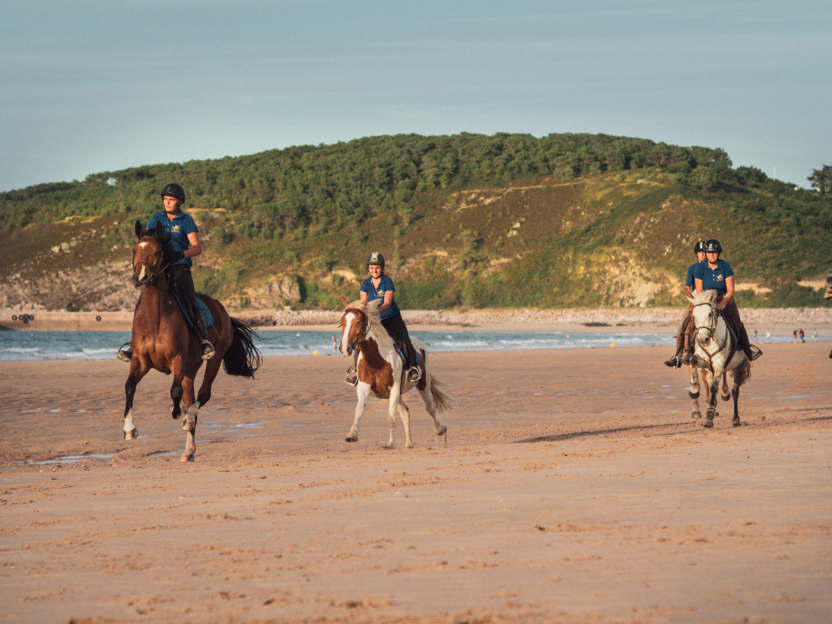 A cheval en Bretagne : cours et balades en bord de mer