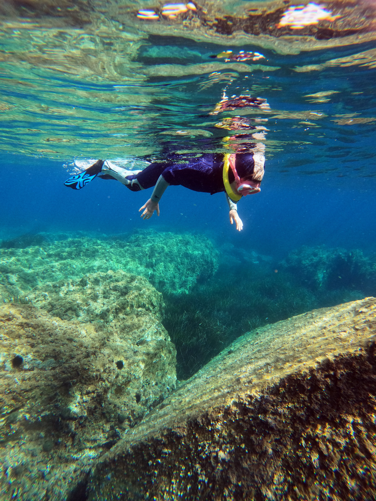 Snorkeling randonnée palmée à Port-Cros