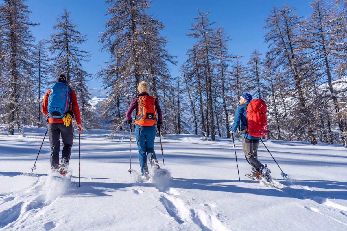 Raquettes et ressourcement au coeur de la magie hivernale des Ecrins
