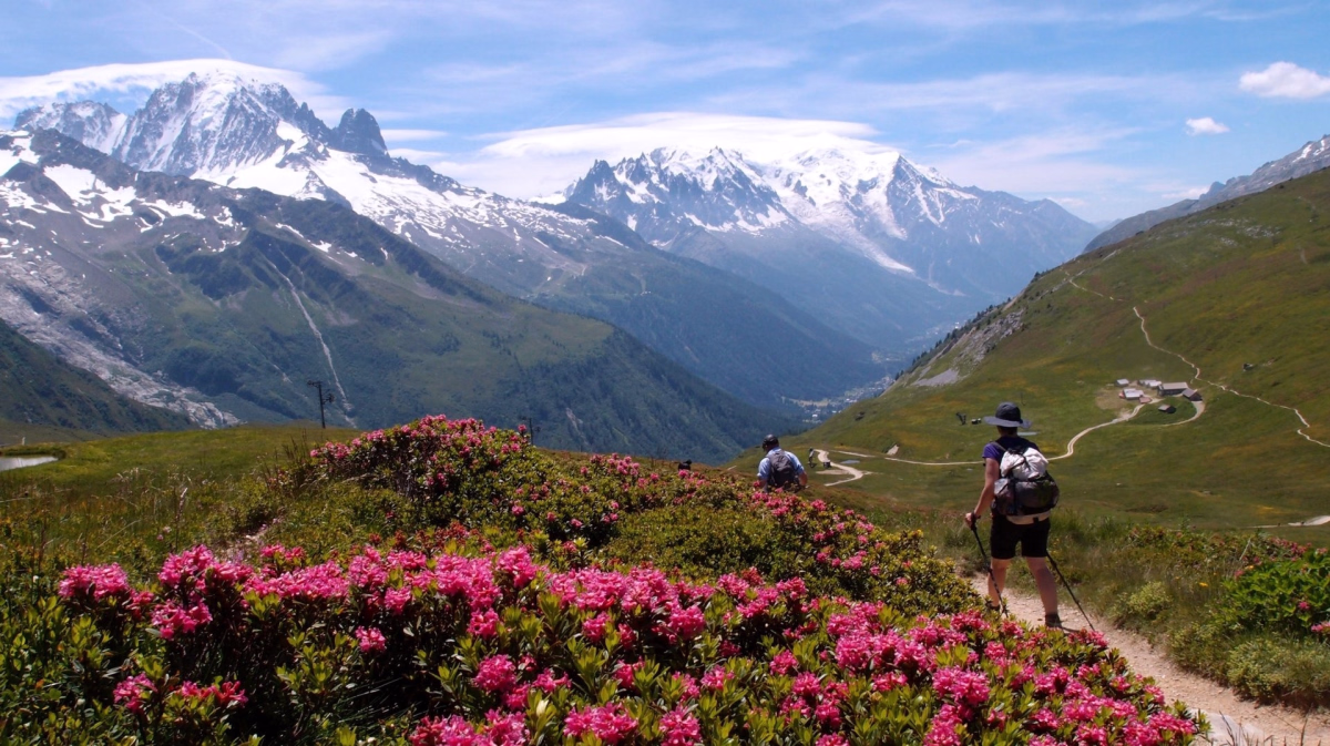 Tour du Mont Blanc demi-tour nord en 5 jours