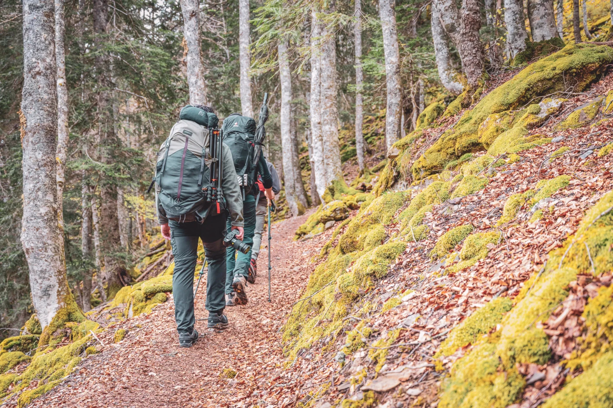 Immersion sauvage et faune des Pyrénées en randonnée