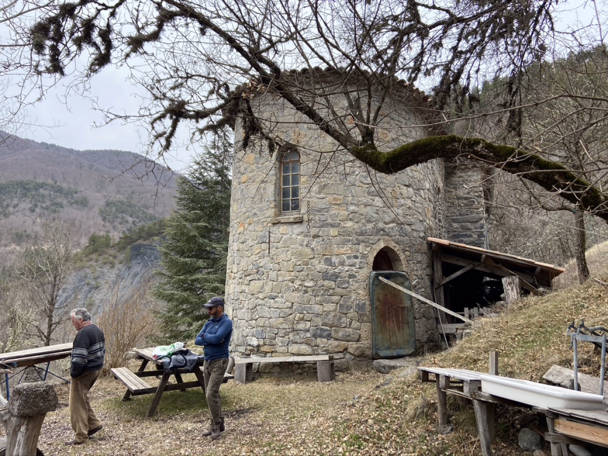 Une aventure sur les traces des loups dans les Alpes
