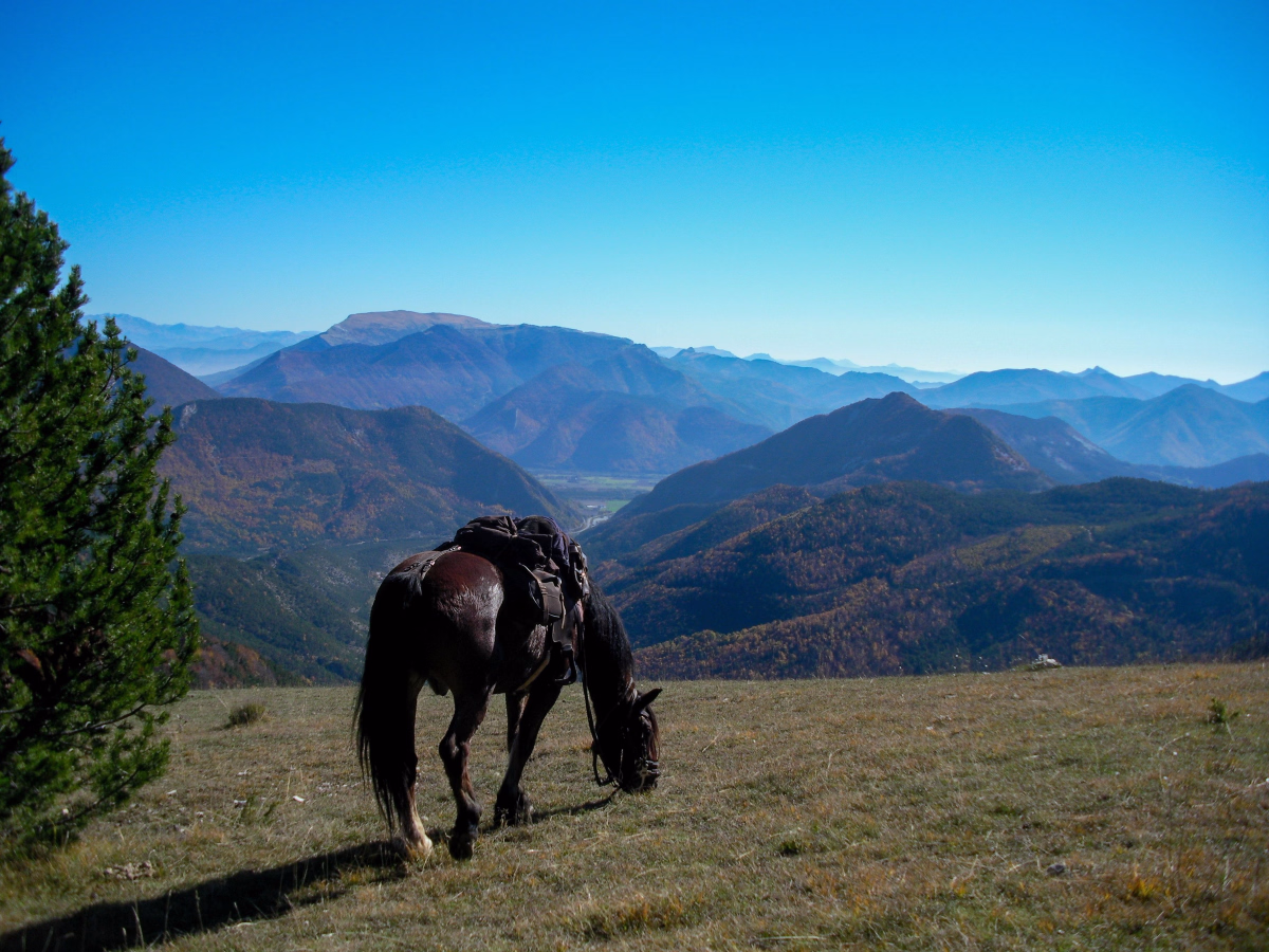 Voyage à cheval - Randonnée à cheval en vallée Sauvage