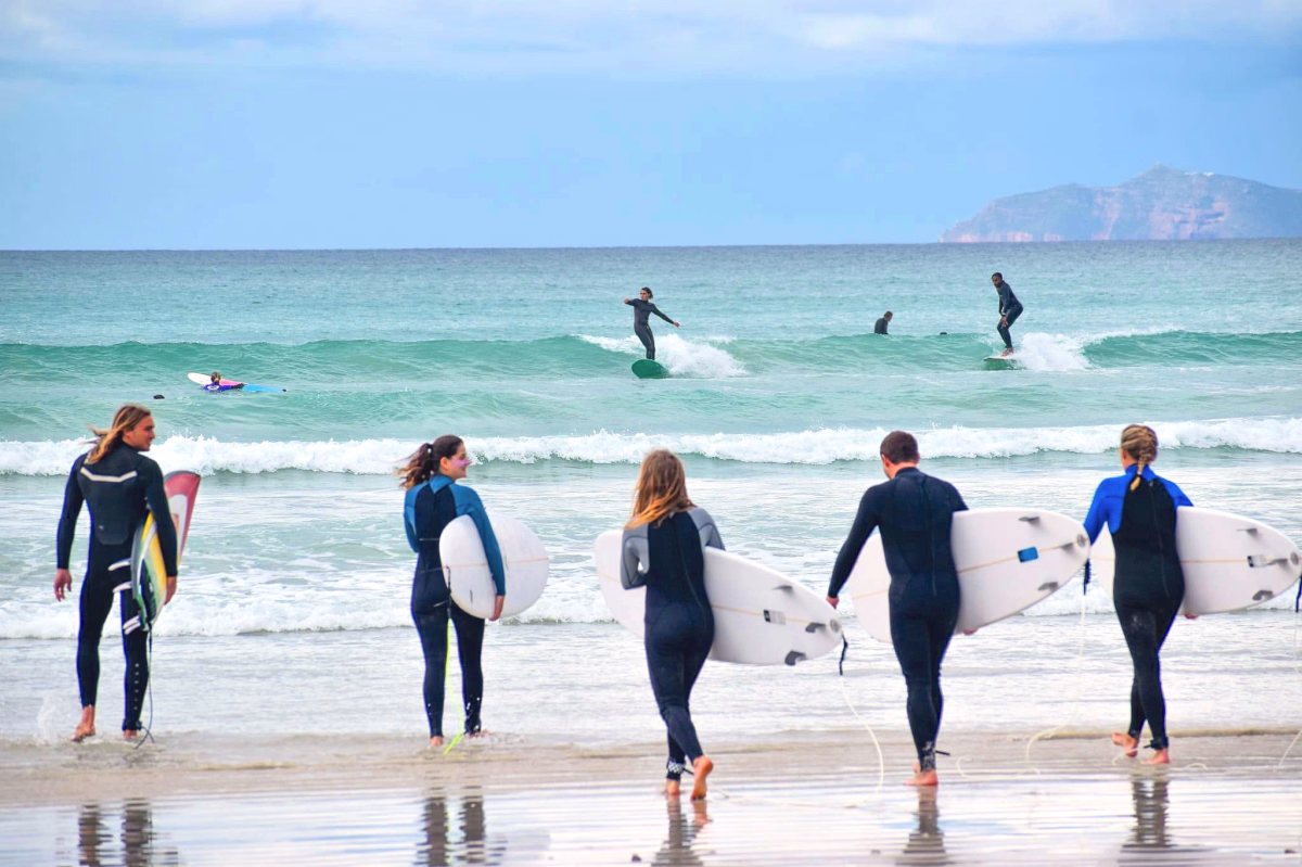 Entre vagues et faune sauvage : surf et aventure au Cap