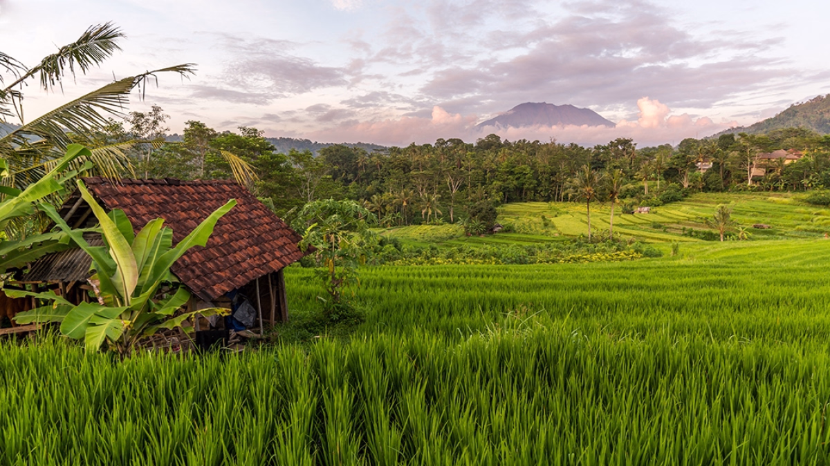 Voyage en Haute Montagne - Traversée de Bali à pied : des temples aux sommets volcaniques