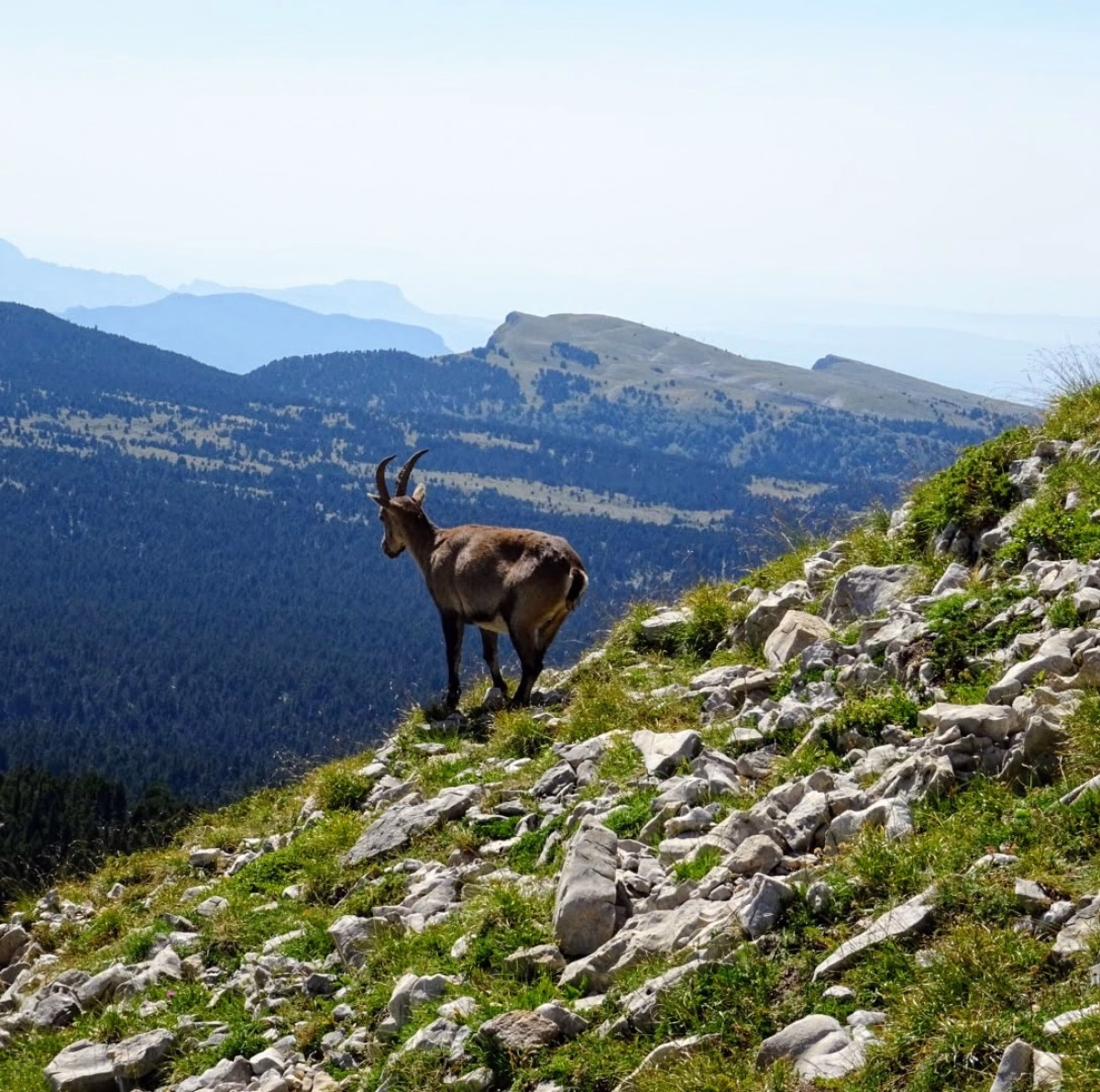 Randonnée liberté au cœur du Vercors drômois