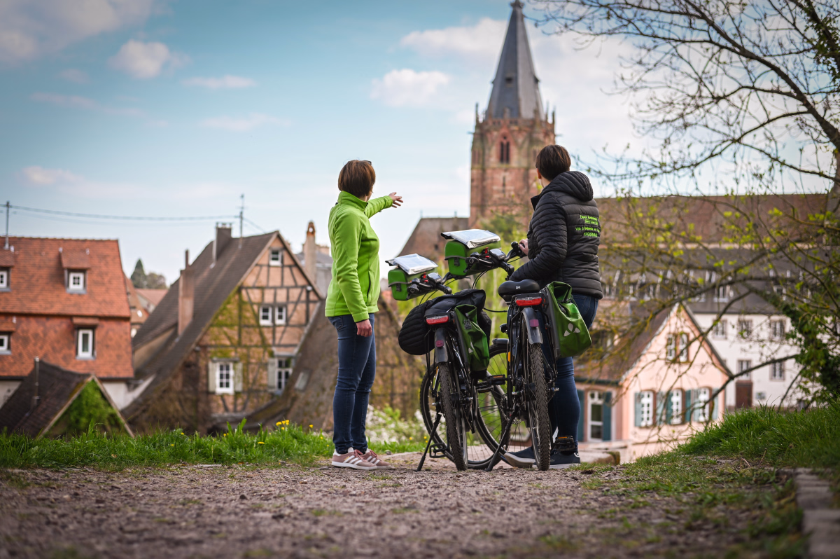 Voyage à vélo - Vélo Houblon, séjour brassicole de 5 jours en Alsace du Nord