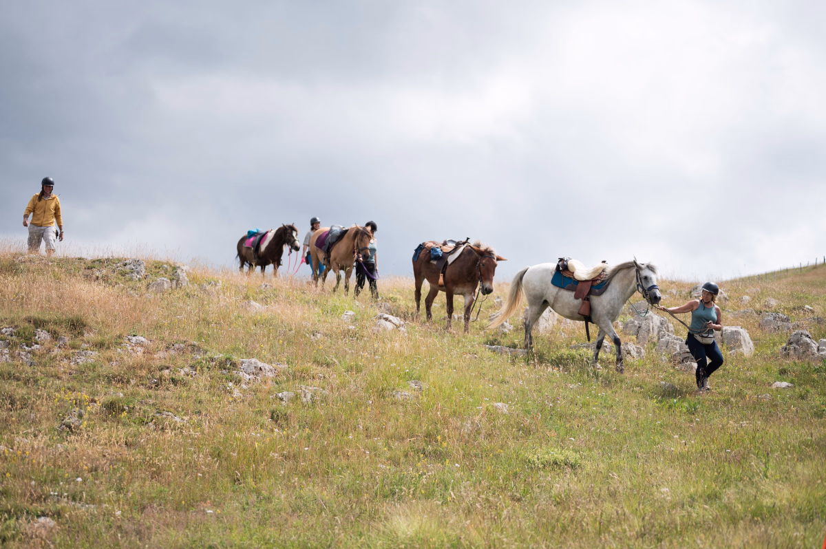 Voyage à cheval - Randonnée à cheval sauvage entre Vercors et sommets du Dévoluy