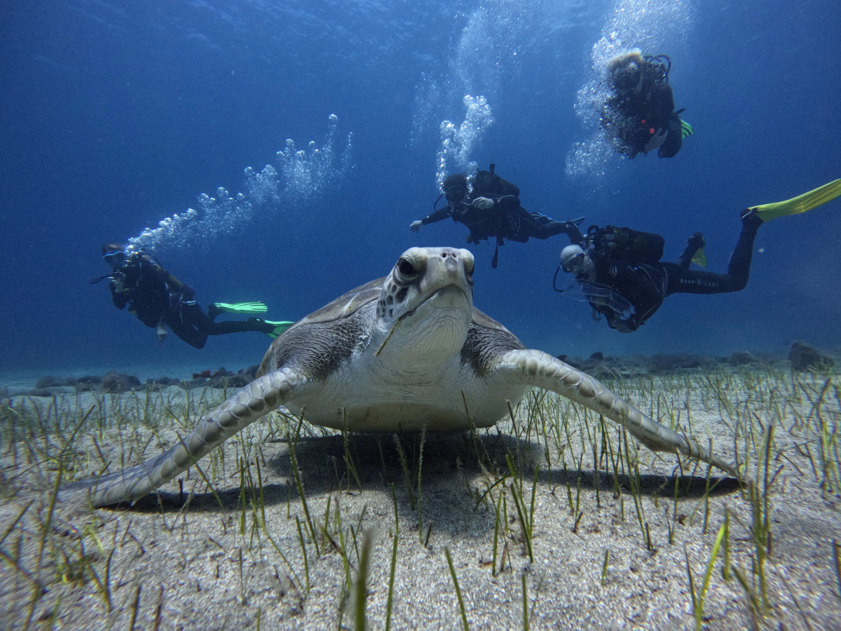 Trek - Première aventure sous-marine en famille à Tenerife