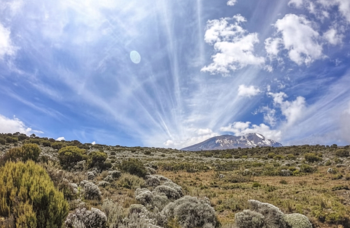 Trek - Randonnée de 6 jours au Mont Kilimandjaro – Voie Lemosho