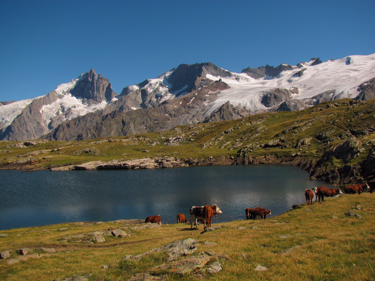 Randonnée dans les vallons de la Haute-Romanche