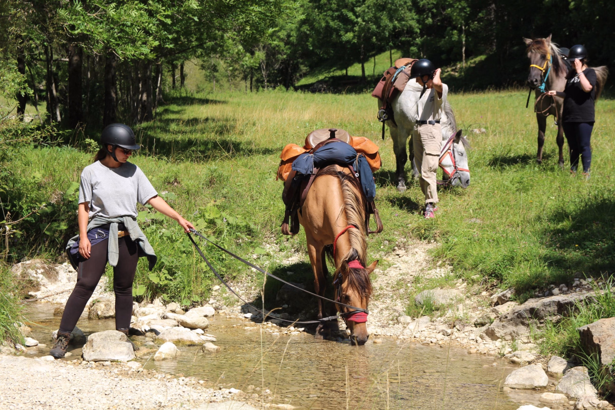 Voyage à cheval - Nuit insolite et cheval dans le vallon de la Jarjatte