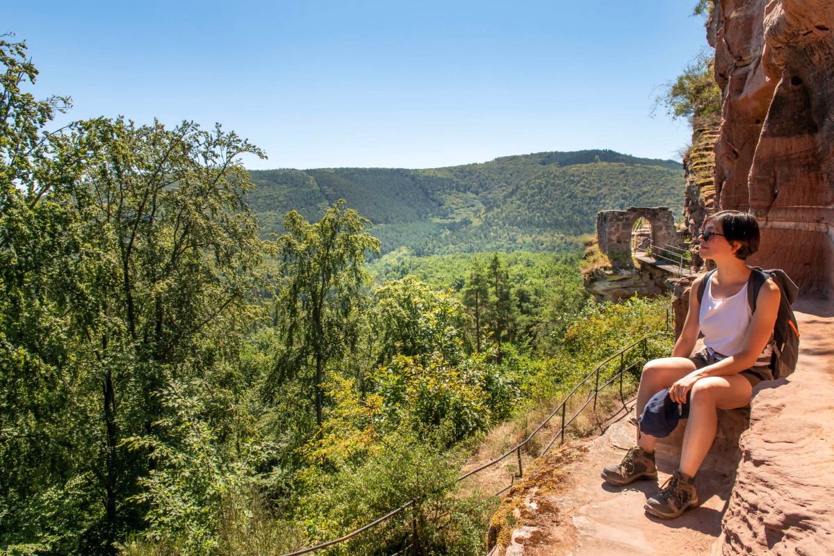 Trail - Traversée des Vosges du Nord en randonnée sur le GR53