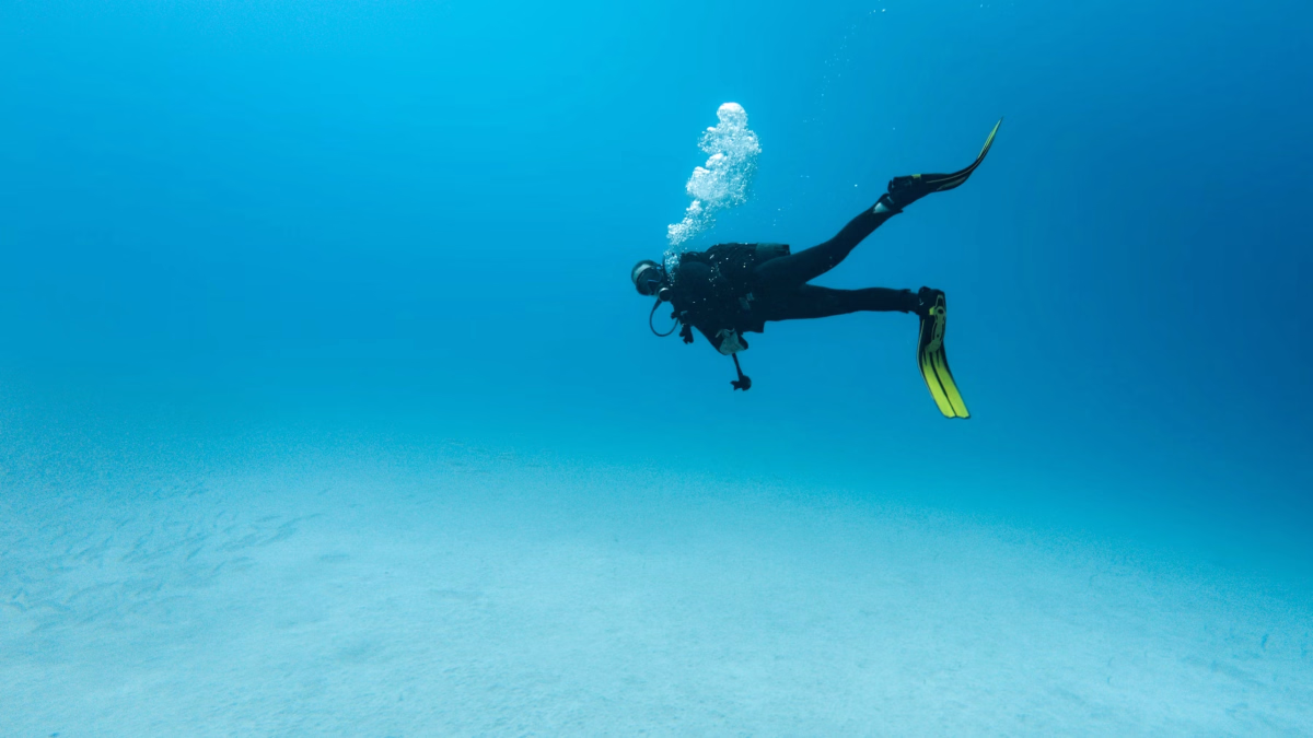 Excursion : Passez votre PADI sur la Costa Brava en 4 jours